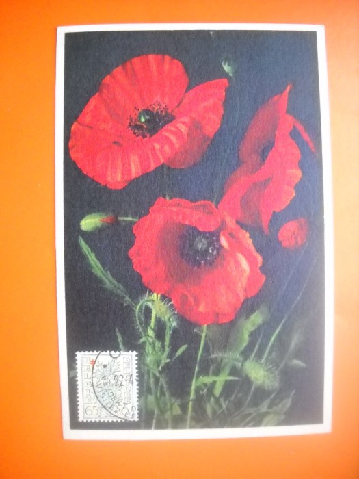 HOPCT MAXIMA NR 1056 FLORI DE MAC - FLORA SPONTANA -1950 BELGIA -FLORA EUROPA