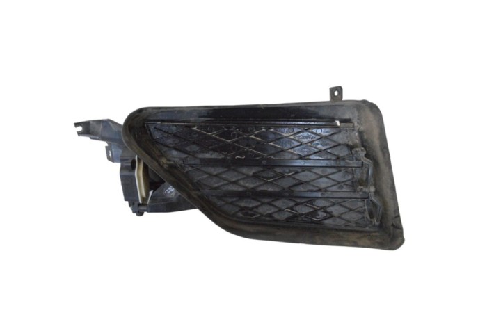 Grila st&acirc;nga față TESLA MODEL S 2018 OEM: A24011023112,1057851-00-I | 30469237
