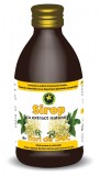 Sirop flori de soc 250ml, Hypericum