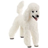 Figurina Schleich, Pudel