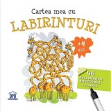 Cartea mea cu labirinturi (+4 ani), DPH