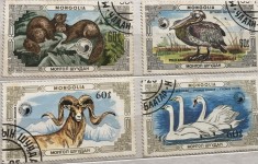 (B ) Timbre serii Straine tema Animale Mongolia