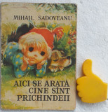 Aici se arata cine sint prichindeii Mihail Sadoveanu