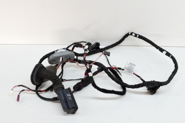 Cablaj ușă st&acirc;nga spate BMW 5 G30 2021 OEM: 9841292,9841292 14392010