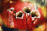 Tablou canvas Flori, vintage, abstract, arta24, 90 x 60 cm