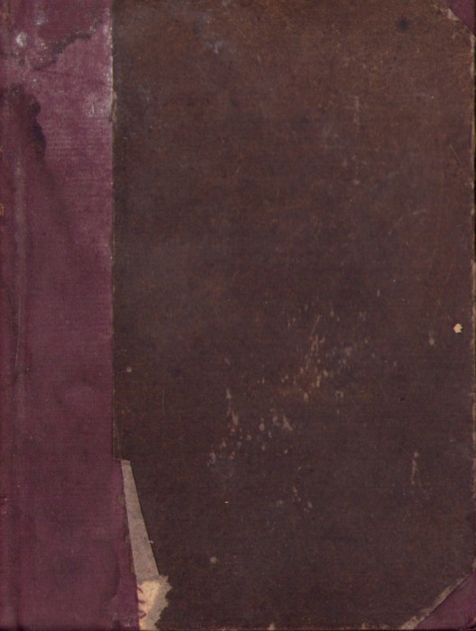 HST C1239 Magyar-nemet es nemet-magyar zsebszokonyv 1878 elso kotet