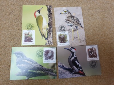 Rom&amp;acirc;nia set maxime 2018 maestri camuflajului foto