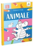 Cumpara ieftin Animale. 3 ani+/***, Gama