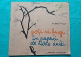 Carmen Firan &ndash; Poti sa fugi in papuci de turte dulci