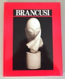 Jose Maria Faerna &quot;Brancusi&quot; Cameo/Abrams 1997
