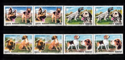 A11 TX10 1 - 1990 - Expozitia mondiala canina Brano - perechi doua timbre foto
