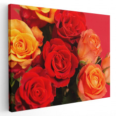 Tablou flori trandafiri rosii galbeni Tablou canvas pe panza CU RAMA 30x40 cm