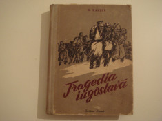 Tragedia iugoslava - O. Maltev Editura A.R.L.U.S. Cartea Rusa 1953 foto