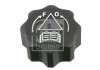 FEBI BILSTEIN 22082 buson,vas expansiune