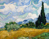 Reproducere tablou canvas Vincent van Gogh Campul chiparos