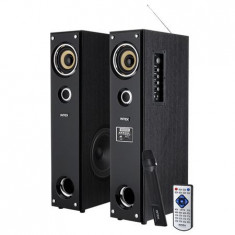 SISTEM AUDIO KARAOKE IT11500 FM/SD/USB INTEX EuroGoods Quality foto