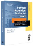 Formele răspunderii &icirc;n dreptul muncii - Paperback brosat - Universul Juridic