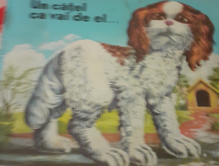 UN CATEL CA VAI DE EL... de ION CRANGULEANU, 1968