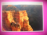 HOPCT 8337 MARELE CANION ARIZONA -SUA-AMERICA DE NORD -NECIRCULATA-