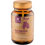 Aronia Charlotteburg Berberine Forte capsule pentru menținerea nivelului normal de zahăr &icirc;n s&acirc;nge 60 caps.