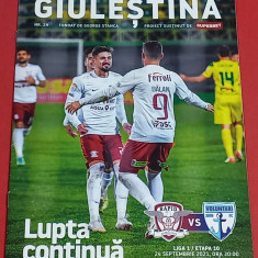 Program meci fotbal RAPID BUCURESTI - FC VOLUNTARI (24.09.2021)