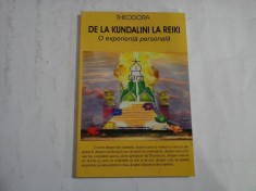 DE LA KUNDALINI LA REIKI - THEODORA foto
