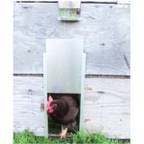 Usa cotet gaini, pisici, caini automatizata 600x240x10mm aluminiu baterie 4AA