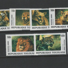 Togo 2000 - Mi 2991/96 - Fauna, feline