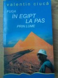 FUGA IN EGIPT, LA PAS PRIN LUME... (CU DEDICATIA AUTORULUI)-VALENTIN CIUCA-233073