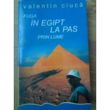FUGA IN EGIPT, LA PAS PRIN LUME... (CU DEDICATIA AUTORULUI)-VALENTIN CIUCA-233073