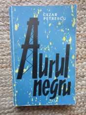 Cezar Petrescu - Aurul negru