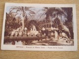 M2 R9 4 - 11 - Carte postala foarte veche - Spania, Necirculata, Fotografie