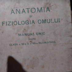 Anatomia și fiziologia omului - manual pentru clasa a VI-a + VII-a elementară