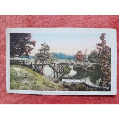 Carte postala, Pod Rustic Deal Lake, Alleenhurst., 1903