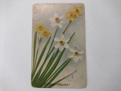FELICITARE DE RUSALII FLORI NARTISE foto