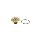 Termostat lichid racire BMW 5 Touring E34 BEHR TX3685D