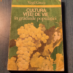 Cultura vitei de vie in gradinile populatiei Virgil Grecu