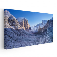 Tablou peisaj munte brazi iarna Tablou canvas pe panza CU RAMA 40x80 cm