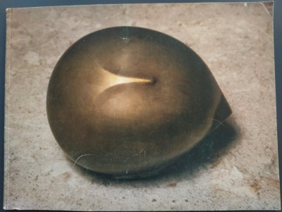 CATALOG:HOMMAGE A CONSTANTIN BRANCUSI DE LA SCULPTURE ROUMAINE CONTEMPORAINE1976 foto