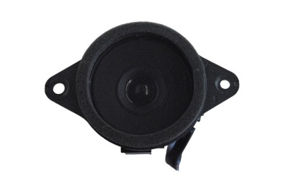 Difuzor ușă dreapta față LEXUS ES _Z10_, _A10_, _H10_ 2019 OEM: 86160-33A40 25646899 foto