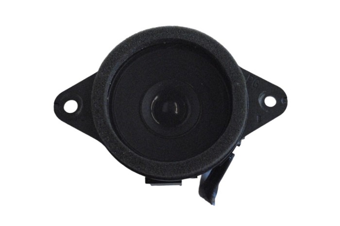 Difuzor ușă dreapta față LEXUS ES _Z10_, _A10_, _H10_ 2019 OEM: 86160-33A40 25646899
