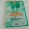 SF IOAN DAMASCHIN, DOGMATICA. TRADUCERE PR.DUMITRU FECIORU-REPRODUCE EDITIA 1943