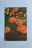 Calendar 1989 ADAS