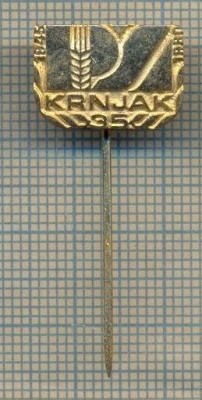Y 1275 INSIGNA -KRNJAK - CROATIA - IUGOSLAVIA - PENTRU COLECTIONARI foto