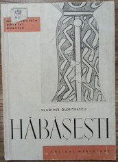 Habasesti - Vladimir Dumitrescu foto