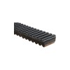 01. Curea transmisie - CF Moto X8 / Z8, CF850 / CF1000 Gates fibra de carbon