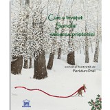Cum A Invatat Soricila Valoarea Prieteniei, Feridun Oral - Editura DPH