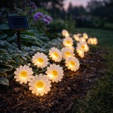 Instalatie luminoasa solara exterior, becuri in forma de margarete, 20 LED alb cald, 2 m + 3.8 m, 2 moduri iluminare, IP44, alb Household NewTrend