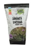Samanta lucerna romaneasca DOBROGEA C1, Nedrajata, Ecologica, 4 AGRO - 10 kg