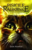 Amurg. Seria Pisicile razboinice Vol.11 - Grupul All